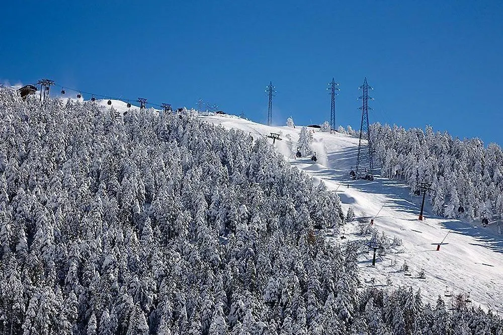 Val De Ruda Luxe 28 By Feelfree Rentals Baqueira Beret Apartment